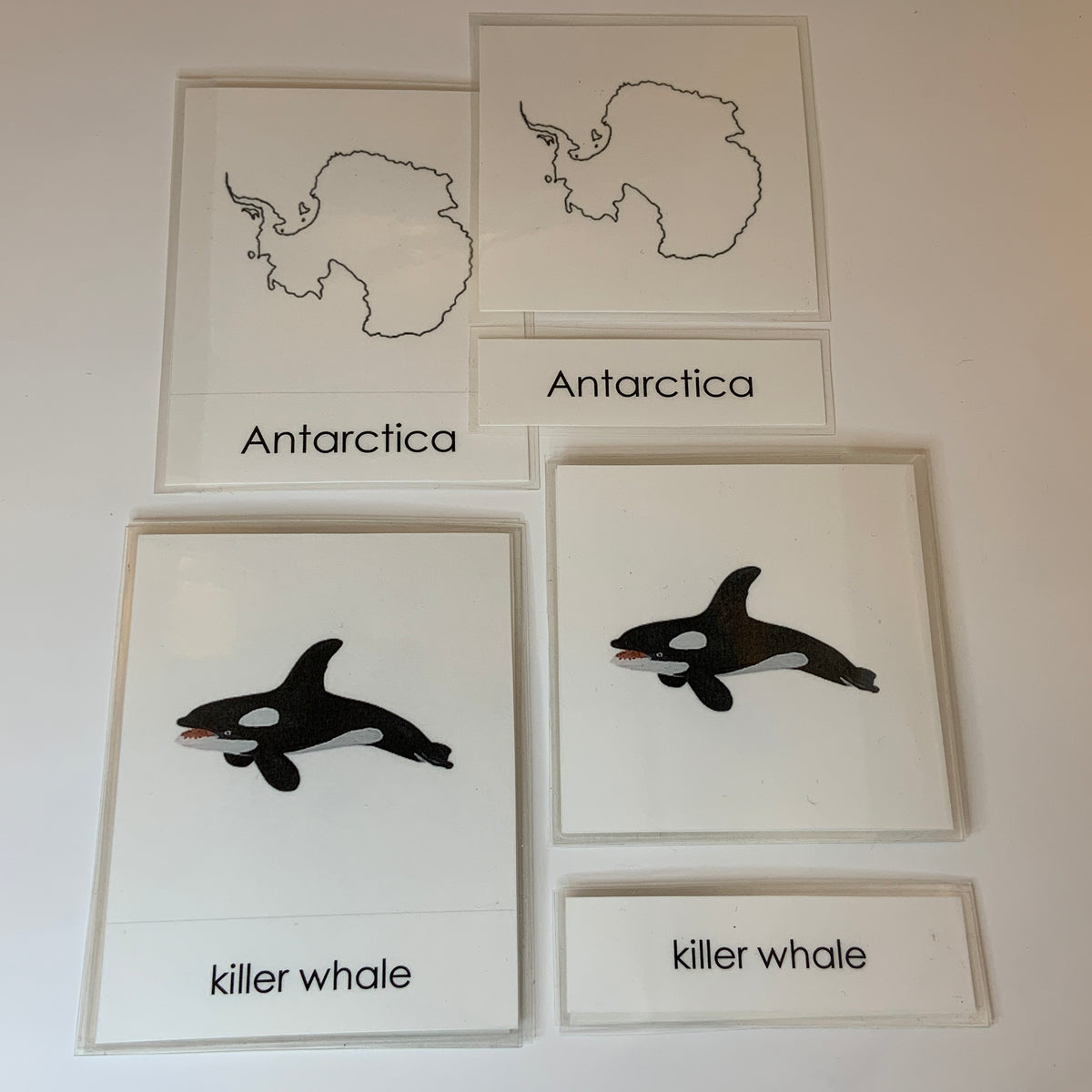 Montessori Animals Of Antarctica Three Part Classified Cards – A A ...