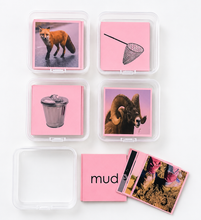Load image into Gallery viewer, Montessori Pink Series Picture and Word Cards Printable PDF |Short Vowel Matching Cards
