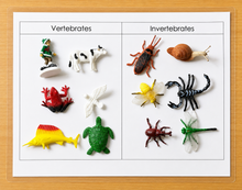 Load image into Gallery viewer, Montessori Science &amp; Classification Sorting Activities | Miniature Objects &amp; Sorting Mats