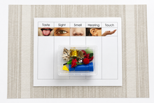 Load image into Gallery viewer, Montessori Five Senses Sorting Activity with Objects
