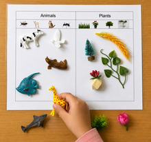 Load image into Gallery viewer, Montessori Animals &amp; Plants Sorting Activity with Objects