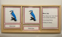 Load image into Gallery viewer, Montessori Bird Classification Set with Miniature Birds, 3-Part Cards, and Description Cards