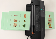 Load image into Gallery viewer, Montessori Green Series Phonogram set one Picture Cards &amp; Word Cards | Set 1 (sh, wh, ch, th, qu)