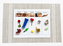Load image into Gallery viewer, Montessori Five Senses Sorting Activity with Objects