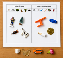 Load image into Gallery viewer, Montessori Living &amp; Non-Living Things Sorting Activity with Objects