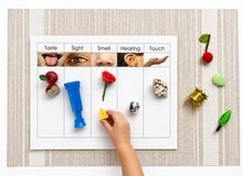 Load image into Gallery viewer, Montessori Five Senses Sorting Activity with Objects