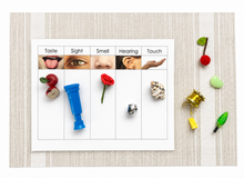 Load image into Gallery viewer, Montessori Five Senses Sorting Activity with Objects