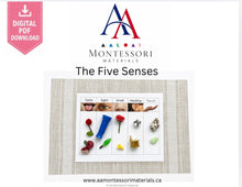 Load image into Gallery viewer, Montessori Five Senses Sorting Mat Printable PDF