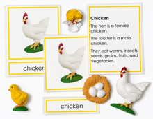 Load image into Gallery viewer, Montessori Chicken Life Cycle &amp; Classification Activity Set with Tray &amp; Card Holder
