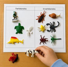 Load image into Gallery viewer, Montessori Vertebrates &amp; Invertebrates Sorting Activity with Objects