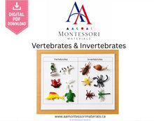 Load image into Gallery viewer, Montessori Vertebrates &amp; Invertebrates Sorting Mat Printable PDF