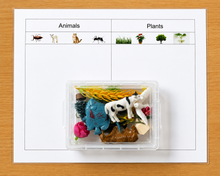 Load image into Gallery viewer, Montessori Animals &amp; Plants Sorting Activity with Objects