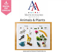 Load image into Gallery viewer, Montessori Animals &amp; Plants Sorting Mat Printable PDF