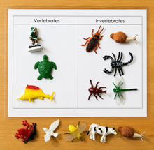 Load image into Gallery viewer, Montessori Vertebrates &amp; Invertebrates Sorting Activity with Objects