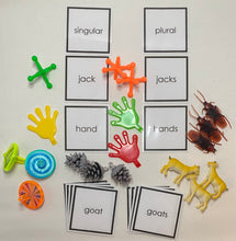 Load image into Gallery viewer, Montessori Singular and Plural Grammar Boxes | Box 1 or Complete Six-Box Set