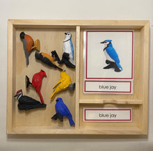 Load image into Gallery viewer, Montessori Bird Classification Set with Miniature Birds, 3-Part Cards, and Description Cards