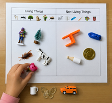 Load image into Gallery viewer, Montessori Living &amp; Non-Living Things Sorting Activity with Objects