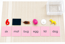 Load image into Gallery viewer, Montessori Pink Series Starter Kit | Short Vowel Reading Materials
