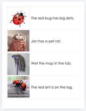 Load image into Gallery viewer, Montessori Pink Series 16 Printable Sentences PDF