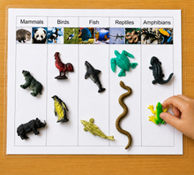 Load image into Gallery viewer, Montessori Science &amp; Classification Sorting Activities | Miniature Objects &amp; Sorting Mats