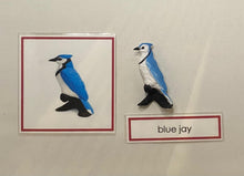 Load image into Gallery viewer, Montessori Bird Classification Set with Miniature Birds, 3-Part Cards, and Description Cards