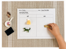 Load image into Gallery viewer, Montessori Pink Series Short Vowel Objects | CVC Miniature Objects | Phonics Language Materials | 30, 50 or 75 Objects
