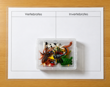 Load image into Gallery viewer, Montessori Vertebrates &amp; Invertebrates Sorting Activity with Objects