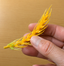 Load image into Gallery viewer, Montessori Animals &amp; Plants Sorting Activity with Objects