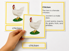 Load image into Gallery viewer, Montessori Chicken Life Cycle &amp; Classification Activity Set with Tray &amp; Card Holder