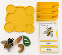 Load image into Gallery viewer, Montessori Life Cycle of the Bee with 4-Part Cards, Tray and Card Holder