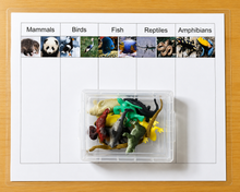 Load image into Gallery viewer, Montessori Animal Classification Sorting Activity with Objects