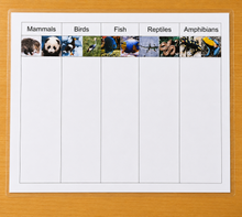 Load image into Gallery viewer, Montessori Animal Classification Sorting Activity with Objects