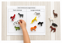 Load image into Gallery viewer, Montessori Farm &amp; Jungle Animal Sorting Activity with Objects