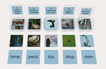 Load image into Gallery viewer, Montessori Blue Series Picture and Corresponding Word Cards with 5 Storage Boxes