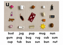 Load image into Gallery viewer, Montessori Pink Series Short Vowel Objects | CVC Miniature Objects | Phonics Language Materials | 30, 50 or 75 Objects