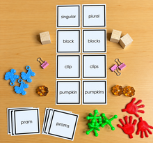 Load image into Gallery viewer, Montessori Blue Series Singular &amp; Plural Box 2 | 18 Miniature Objects | Grammar &amp; Phonics Activity