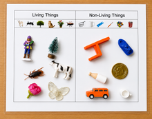 Load image into Gallery viewer, Montessori Science &amp; Classification Sorting Activities | Miniature Objects &amp; Sorting Mats