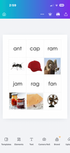 Load image into Gallery viewer, Montessori Pink Series Picture and Word Cards Printable PDF |Short Vowel Matching Cards