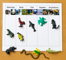 Load image into Gallery viewer, Montessori Animal Classification Sorting Activity with Objects