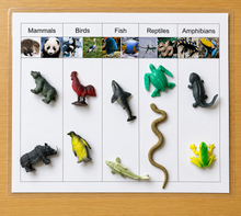 Load image into Gallery viewer, Montessori Animal Classification Sorting Activity with Objects