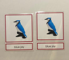 Load image into Gallery viewer, Montessori Bird Classification Set with Miniature Birds, 3-Part Cards, and Description Cards