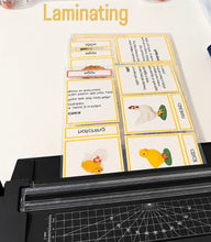 Load image into Gallery viewer, Montessori Life Cycle of the Bee with 4-Part Cards, Tray and Card Holder