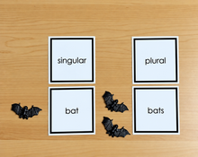 Load image into Gallery viewer, Montessori Pink Series Singular and Plural Object Box | Box 1 | 18 Miniature Objects