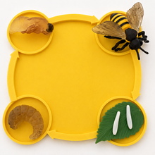 Load image into Gallery viewer, Montessori Life Cycle of the Bee with 4-Part Cards, Tray and Card Holder
