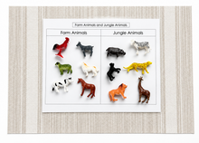 Load image into Gallery viewer, Montessori Farm &amp; Jungle Animal Sorting Activity with Objects