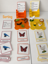Load image into Gallery viewer, Montessori Chicken Life Cycle &amp; Classification Activity Set with Tray &amp; Card Holder