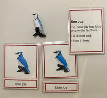 Load image into Gallery viewer, Montessori Bird Classification Set with Miniature Birds, 3-Part Cards, and Description Cards