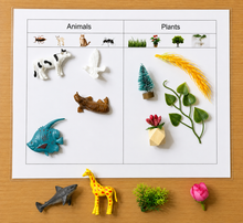 Load image into Gallery viewer, Montessori Animals &amp; Plants Sorting Activity with Objects