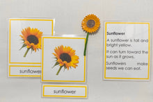 Load image into Gallery viewer, Montessori Flower Matching Set with Miniature Flowers, 3-Part Cards and Description Cards