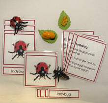 Load image into Gallery viewer, Montessori Ladybug Life Cycle Classification Set with Miniature Objects, 3-Part Cards, and Description Cards